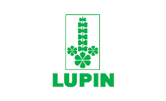 Lupin